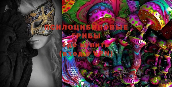 трава Аркадак